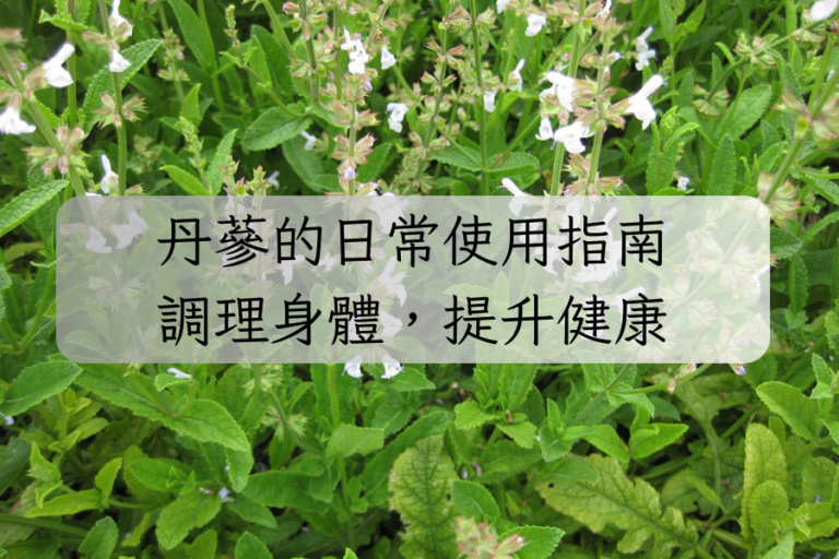 丹蔘的日常使用指南：調理身體，提升健康