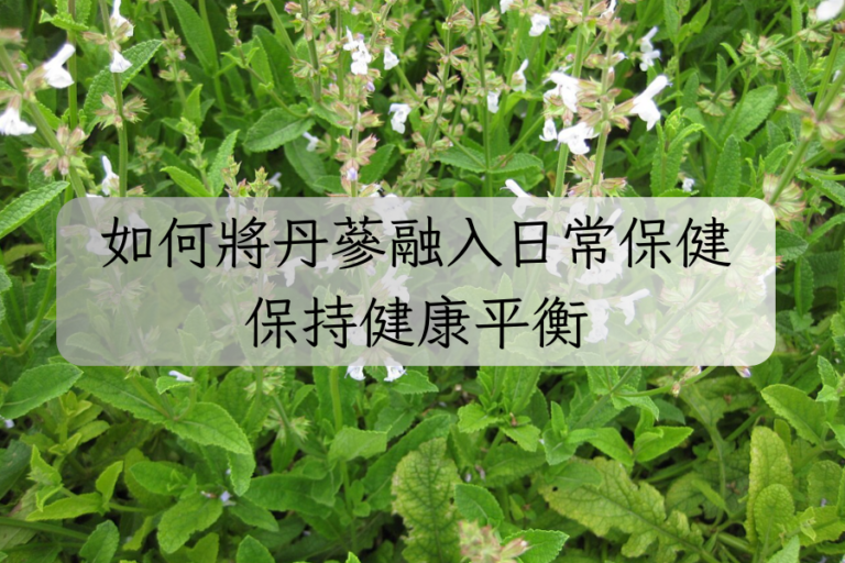 如何將丹蔘融入日常保健，保持健康平衡