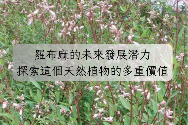 羅布麻的未來發展潛力，探索這個天然植物的多重價值！
