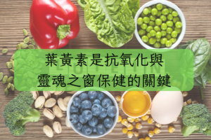 葉黃素是抗氧化與靈魂之窗保健的關鍵
