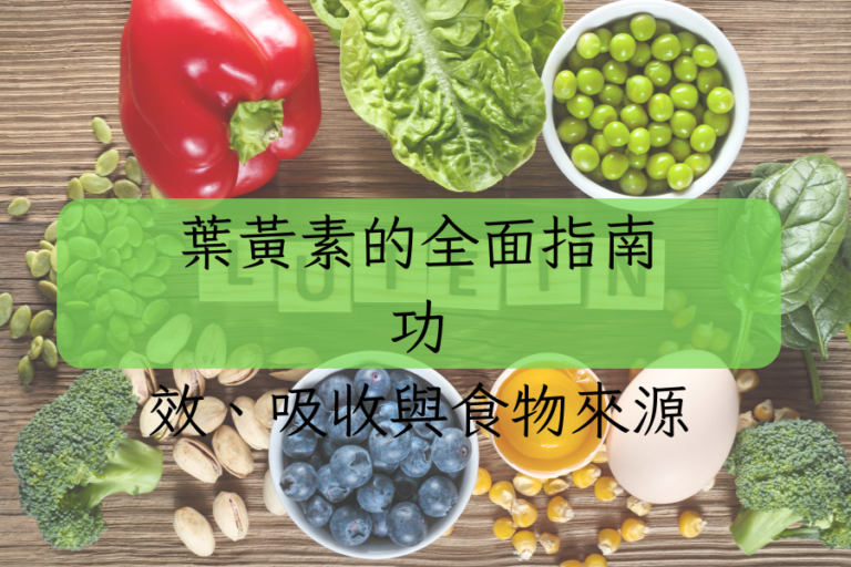 葉黃素的全面指南：功效、吸收與食物來源