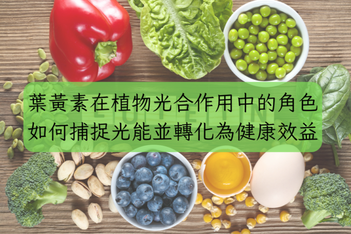 葉黃素在植物光合作用中的角色：如何捕捉光能並轉化為健康效益